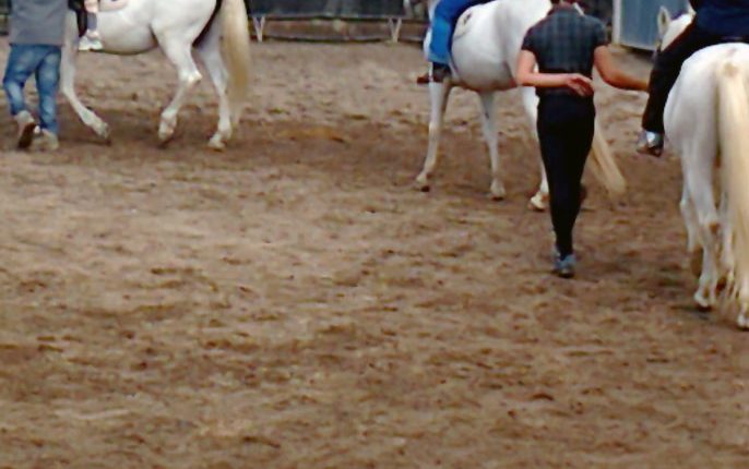 12-03-14-Taller-Hipoterapia-02